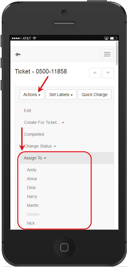 Web Interface mobile assign Ticket
