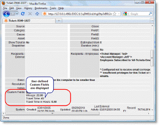 Web Interface - Custom Fields Display